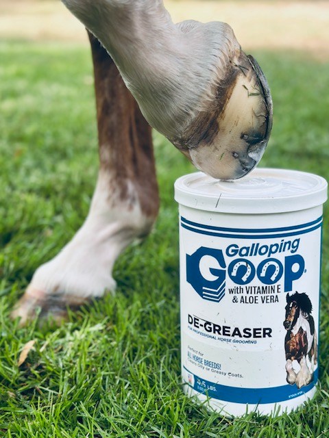 🧼Pourquoi le dégraissant Galloping Goop est crucial… mais encore ignoré par 80 % des cavaliers